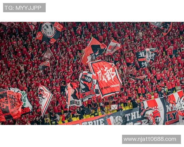 成都足球队的崛起与挑战全景揭秘解析球队状态与未来发展方向MBA