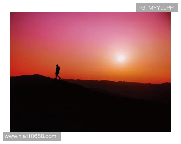 深度对话:赵强如何在网球人生中追寻梦想与挑战